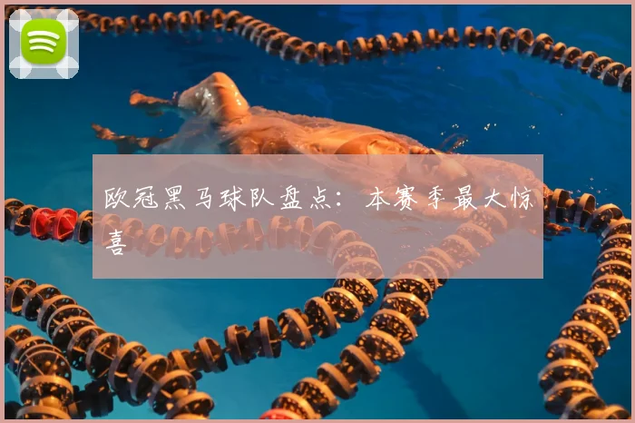 欧冠黑马球队盘点:本赛季最大惊喜